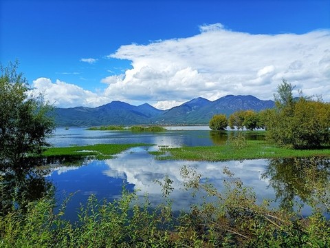 拉市海濕地公園