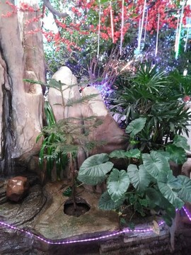 生態(tài)農莊