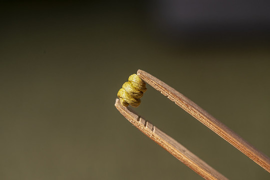 霍山石斛鐵皮楓斗