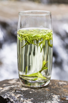 安吉白茶