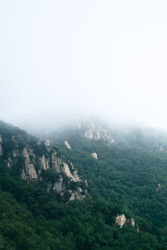 云霧蓮花山新蒲山