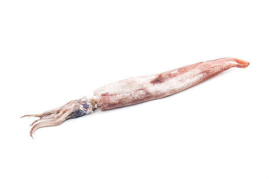 魷魚