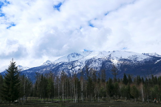 雪域高山