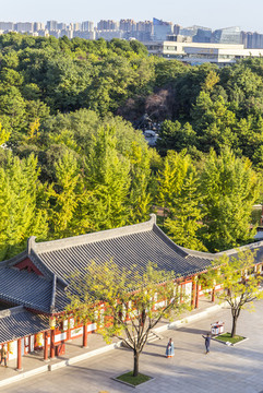 西安大唐芙蓉園建筑風(fēng)景