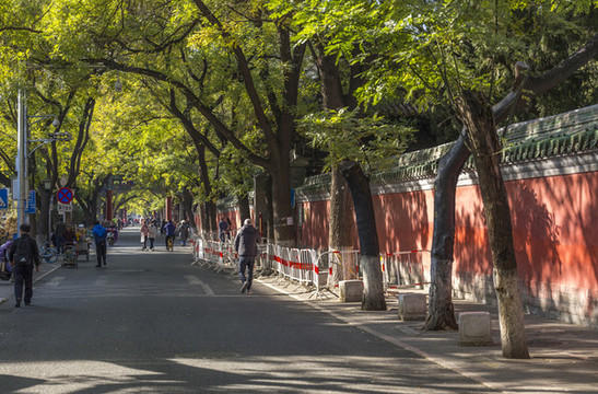 北京國子監(jiān)胡同古建筑風(fēng)光