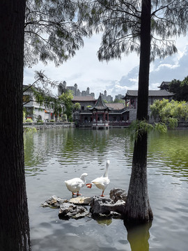 可園博物館