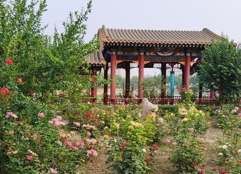 玫瑰園