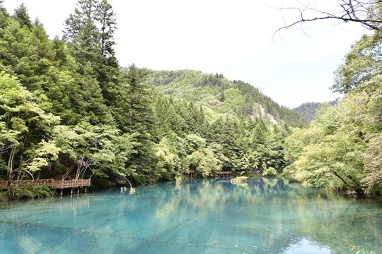 五花海