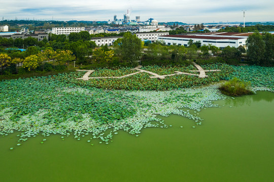 航拍西湖公園
