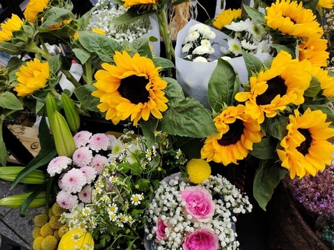 葵花