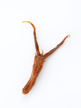 鴨舌
