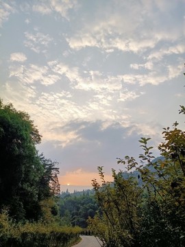 園林景觀
