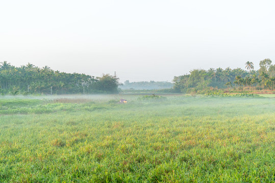 海南秋天清晨的田园雾气