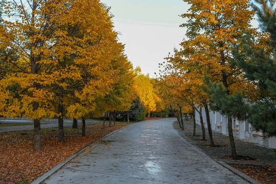 城市秋色