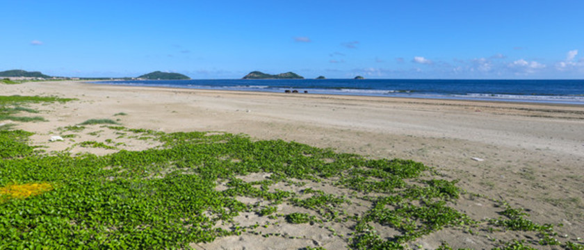 美麗的海岸