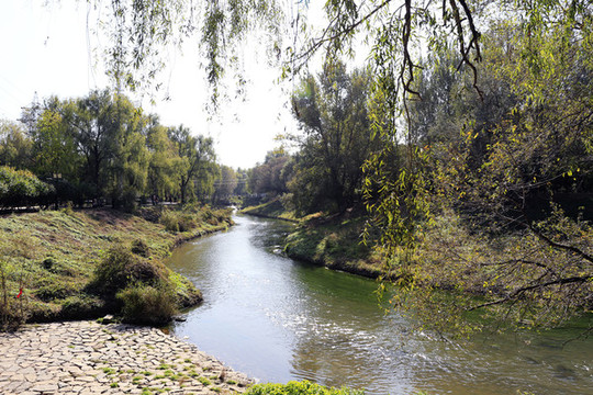 公園河流