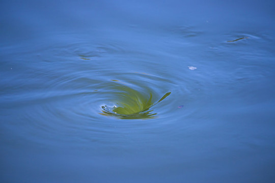 水窩