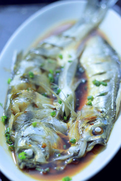 醬汁朋魚