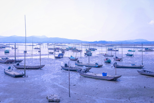碼頭