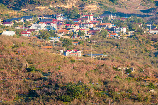 航拍沂蒙山區(qū)漫山遍野的果園