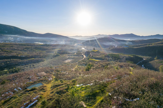 航拍沂蒙山區(qū)漫山遍野的果園