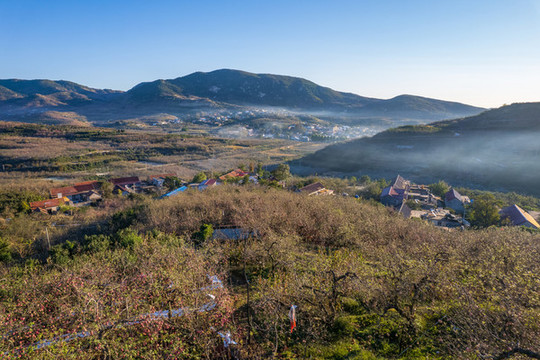 航拍沂蒙山區(qū)漫山遍野的果園
