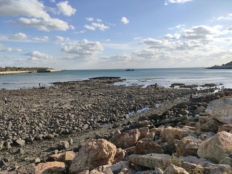 海灘石灘趕海
