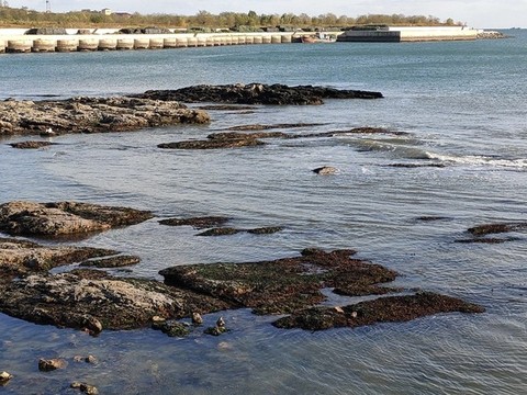 碧海藍(lán)天