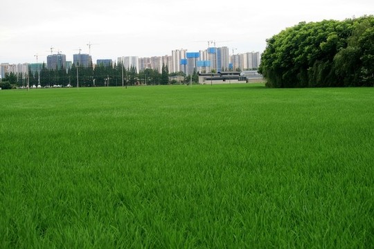城鄉(xiāng)接合部