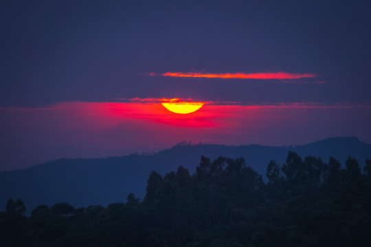 夕陽紅