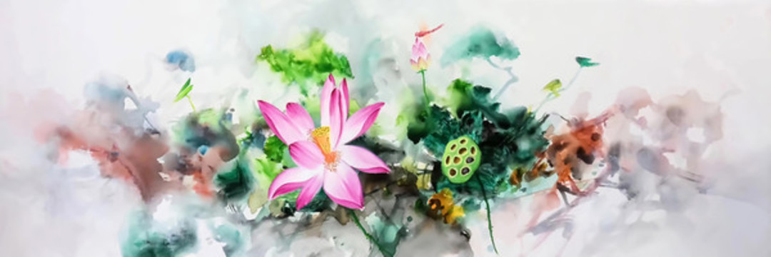 荷花圖