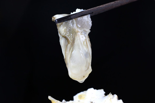 夾生蠔筷子