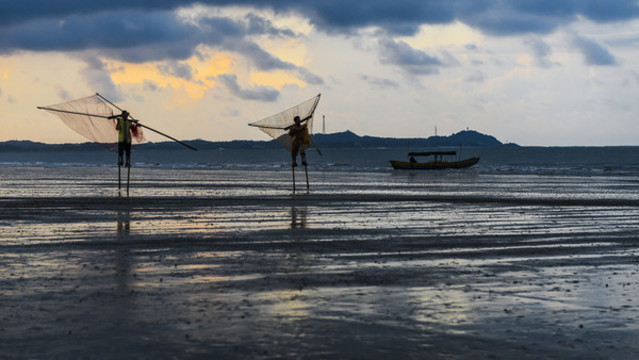 趕海