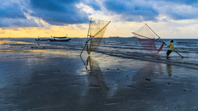 趕海