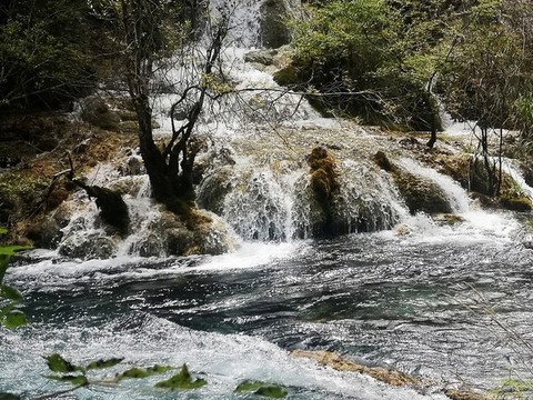 山中流水