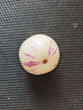 人參果