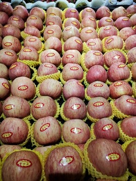 蘋果