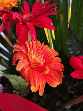 鮮花