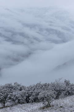 云霧雪山風(fēng)光水墨畫