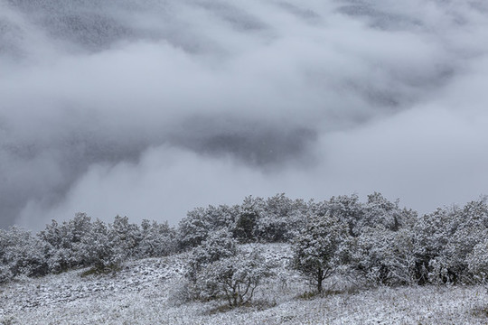 云霧雪山風(fēng)光水墨畫