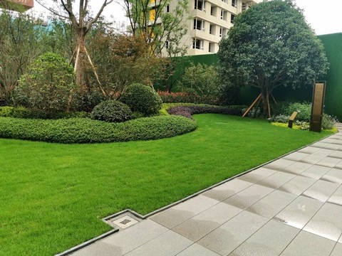 灌木帶草坪綠地景觀