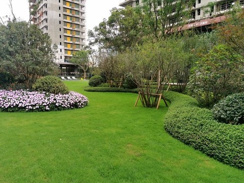 灌木帶草坪綠地景觀