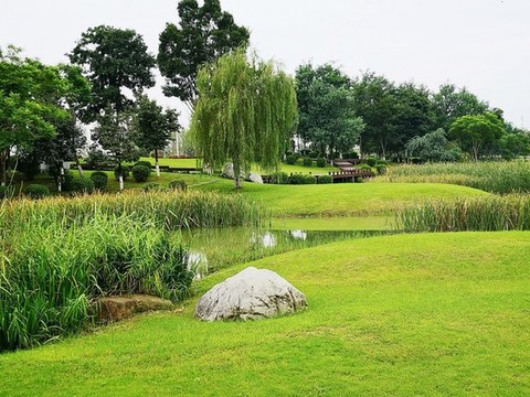 生態(tài)公園