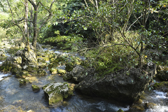 山澗溪流