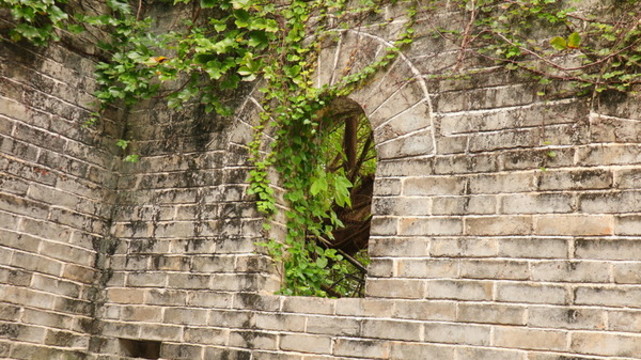 古長城深圳求水山公園景點