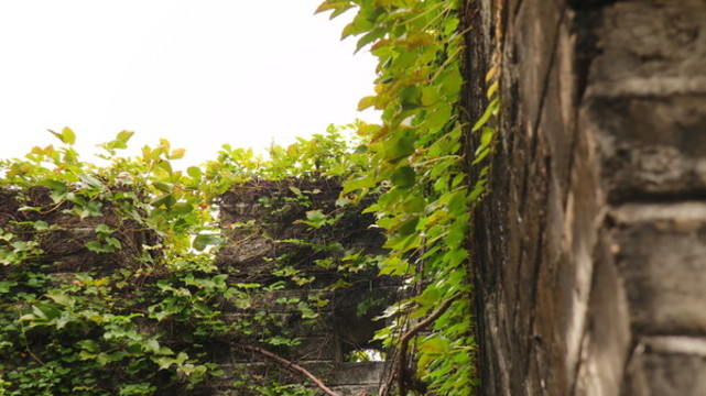 古長(zhǎng)城深圳求水山公園景點(diǎn)