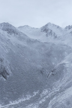 高原雪山下雪風(fēng)景