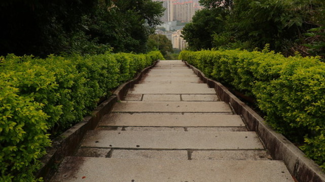 古長城深圳求水山公園景點(diǎn)