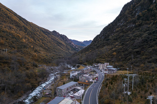 川西高原秋季高山森林自然風(fēng)光