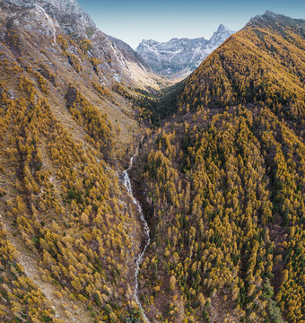 川西高原秋季高山森林自然風(fēng)光
